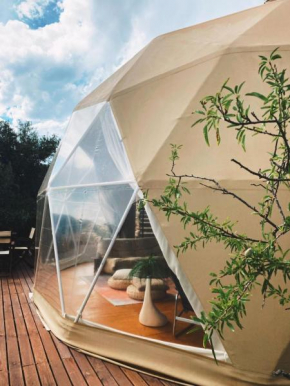 Glamping geodesic dome in secluded eco retreat, Alozaina
